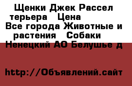 Щенки Джек Рассел терьера › Цена ­ 20 000 - Все города Животные и растения » Собаки   . Ненецкий АО,Белушье д.